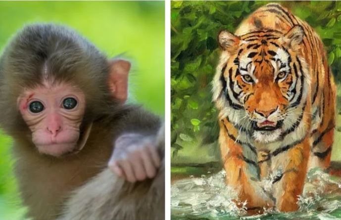 Tháng 7 Âm vượng vận quý nhân: 3 con giáp làm gì cũng có người nâng đỡ