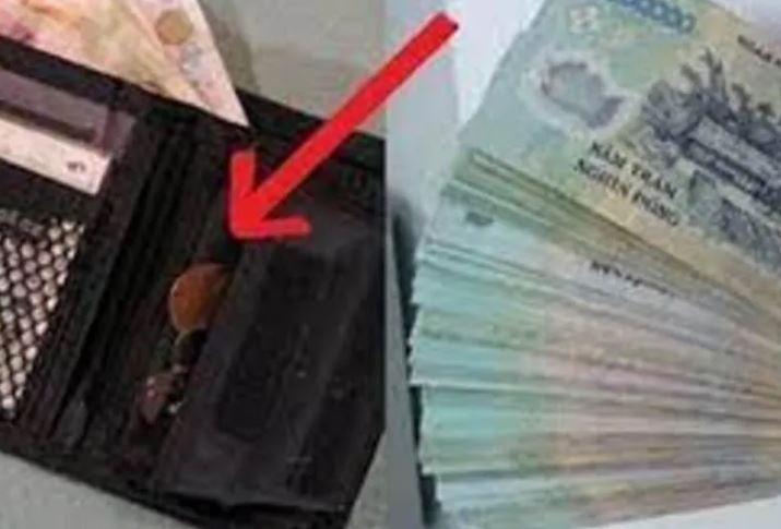Thầy phong thủy mách nhỏ: Đặt thứ này vào ví, tiền có thể đẻ ra tiền, cứ hết lại có
