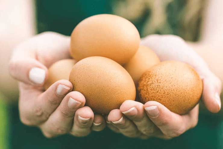 Mỗi ngày ăn 2 quả trứng gà, cơ thể của bạn sẽ ra sao?