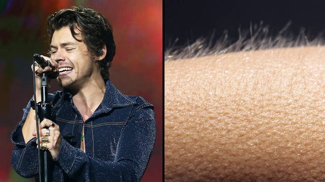 Vì sao có hiện tượng nổi da gà?