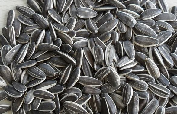 Những lợi ích bất ngờ của hạt hướng dương đối với sức khỏe