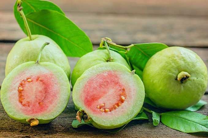 Giúp giảm cân, ngừa ung thư và hàng loạt lợi ích tuyệt vời của quả ổi