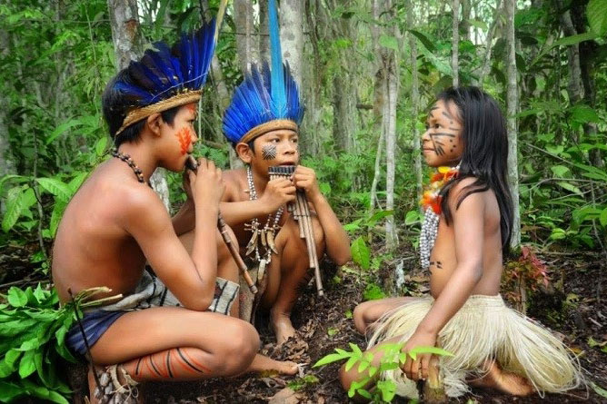 B&#x1ED9; t&#x1ED9;c Piraha: S&#x1ED1;ng h&#x1ED3;n nhi&#xEA;n nh&#x1B0; c&#xE2;y c&#x1ECF; trong r&#x1EEB;ng Amazon