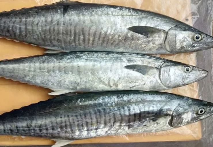 Đi chợ thấy 7 loại cá này mua ngay kẻo hết: Bổ ngang nhân sâm, tổ yến, giá rẻ, không lo tăng trọng