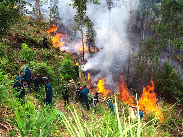 Nguy cơ cháy rừng trên địa bàn Đà Nẵng đang lên đến mức nguy hiểm.