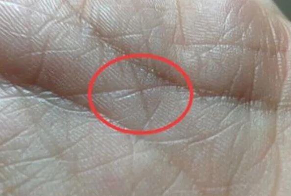 Xoè bàn tay xem 3 đường vân tài vận: Chỉ cần có 1 điểm này là thần Tài yêu quý