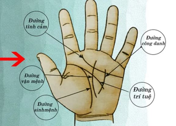 Thần Tài đánh dấu: Lòng bàn tay có 4 dấu hiệu này có thể báo hiệu vận số giàu sang, đặc biệt là số 2
