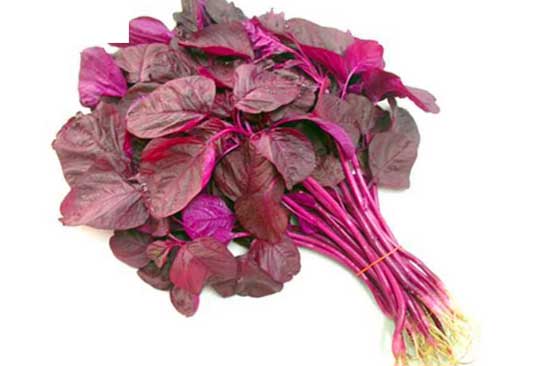 8 loại rau giàu canxi, hãy bổ sung để xương chắc khỏe