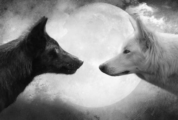 Người khôn ngoan thực sự có 4 đặc điểm này, có 1 điều đã xuất chúng, lanh lợi hơn người