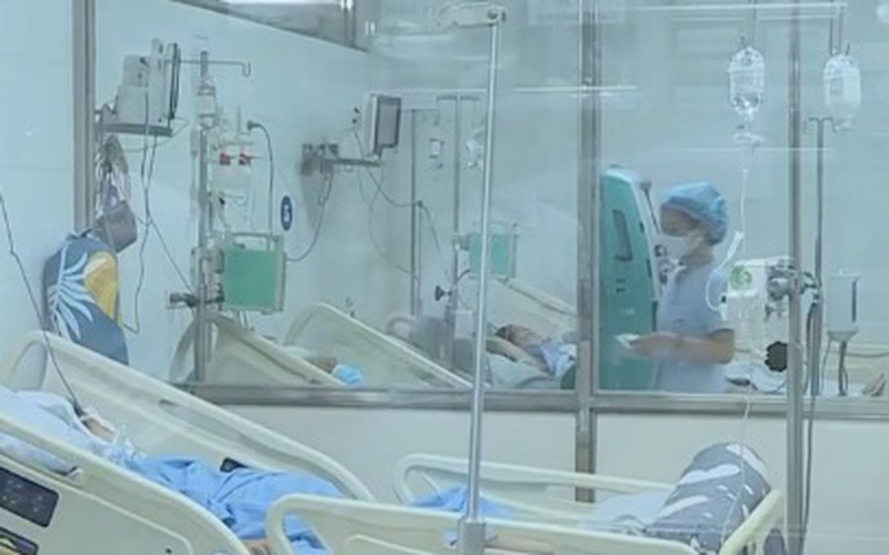 Hà Nội: Dự báo đỉnh dịch sốt xuất huyết rơi vào tháng 9, 10