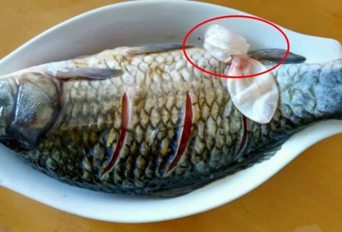 Ăn cá đừng chỉ biết ăn thịt thôi: Đây mới là 3 bộ phận bổ ngang nhân sâm, tổ yến, nhiều người không biết