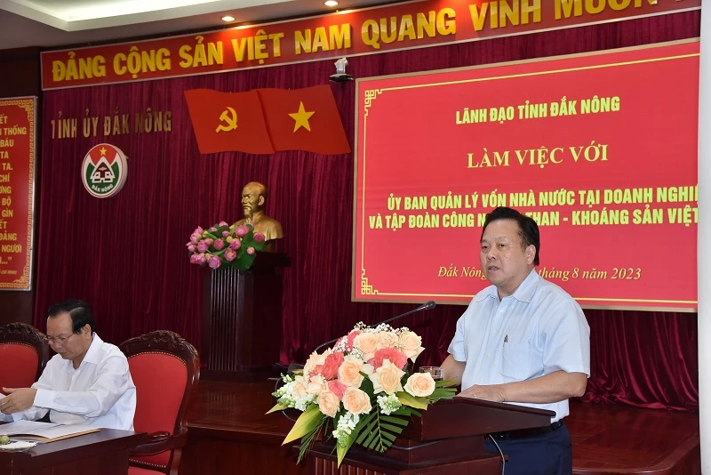 Ông Nguyễn Hoàng Anh - Chủ tịch Uỷ ban quản lý vốn nhà nước tại doanh nghiệp, phát biểu tại buổi làm việc.