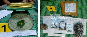 Vụ vận chuyển 19 kg vàng qua biên giới: Bắt tạm giam 2 chủ tiệm vàng