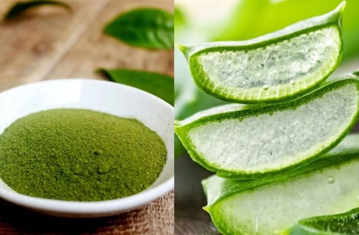 Công thức mặt nạ nha đam trà xanh, sự kết hợp tuyệt vời cho làn da trắng sáng