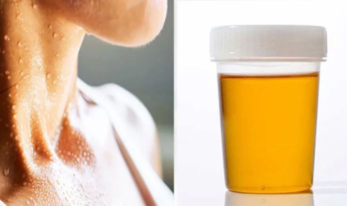 C&#x1ED5; nh&#xE2;n n&#xF3;i r&#x1ED3;i: &#x2018;Ng&#x1B0;&#x1EDD;i c&#xF3; ba v&#xE0;ng th&#x1B0;&#x1EDD;ng kh&#xF4;ng s&#x1ED1;ng l&#xE2;u&#x2019;, v&#x1EAD;y &#x2018;ba v&#xE0;ng&#x2019; &#x1EDF; &#x111;&#xE2;y l&#xE0; g&#xEC;?