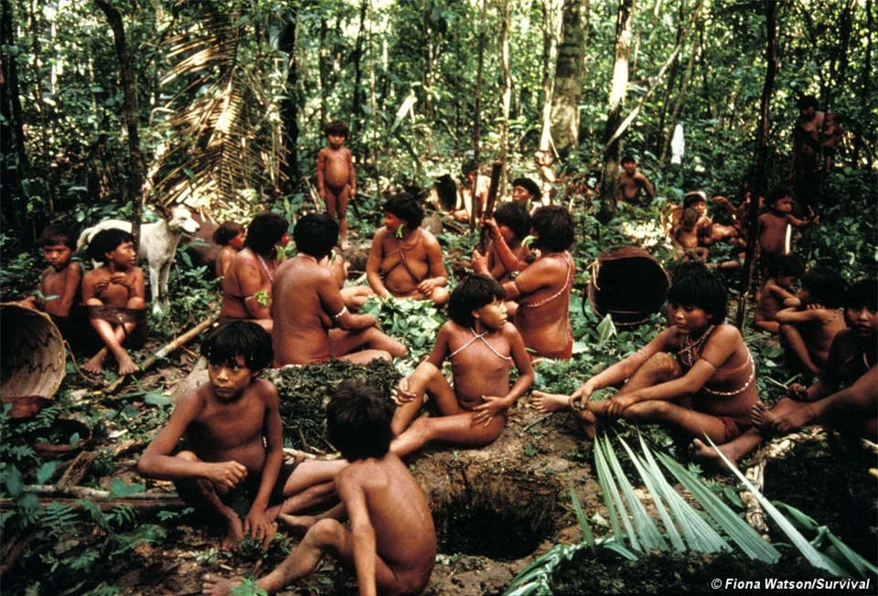 Bộ lạc kỳ dị ở Nam Mỹ: Cuộc sống khép kín và hủ tục mai táng bằng cách ăn tro cốt của người chết - Ảnh 2.