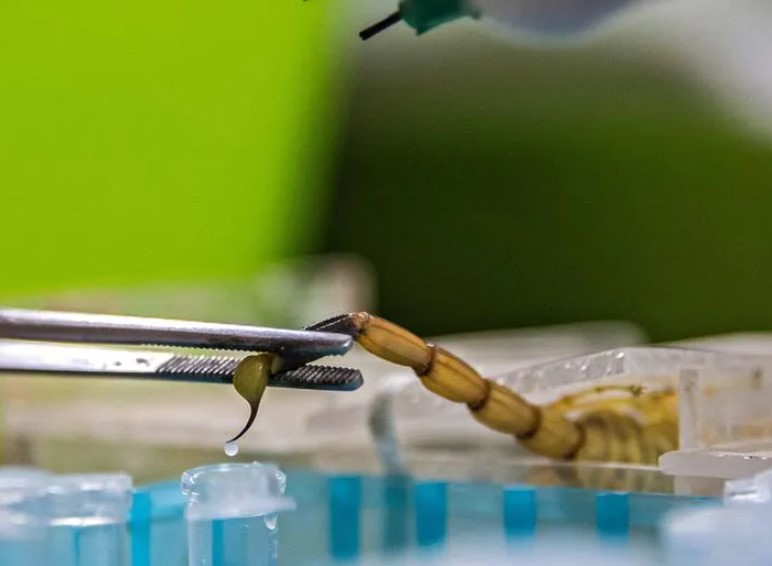 M&#x1ED7;i mililit n&#x1ECD;c b&#x1ECD; c&#x1EA1;p b&#xE1;n &#x111;&#x1B0;&#x1EE3;c 230 tri&#x1EC7;u VN&#x110;, v&#xE0; &#x111;&#xE2;y l&#xE0; l&#xFD; do t&#x1EA1;i sao n&#xF3; &#x111;&#xE1;ng gi&#xE1;