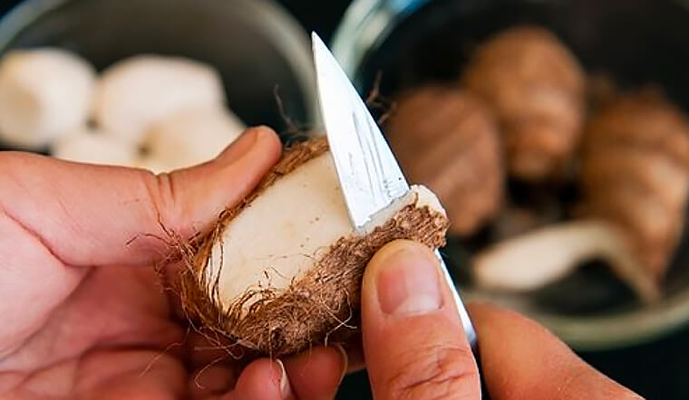 Mẹo gọt khoai sọ không bị ngứa cực hữu ích và cách xử lý nếu lỡ bị ngứa tay