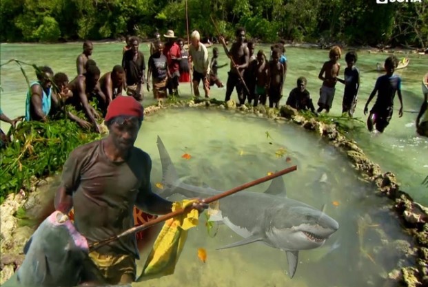 Cả bộ lạc kéo 1 loại dây leo bí ẩn xuống biển quây thành vòng tròn, kết quả khó tin!