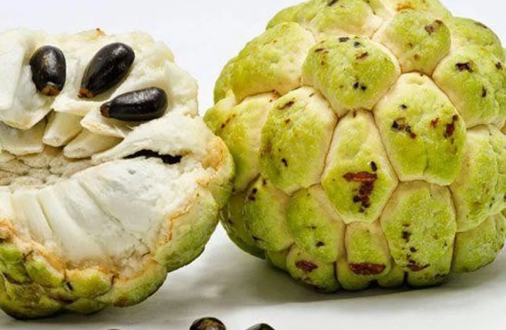 100 triệu đồng cho 1 quả na, ngày xưa người dân vứt bỏ giờ được săn lùng mua không có mà bán