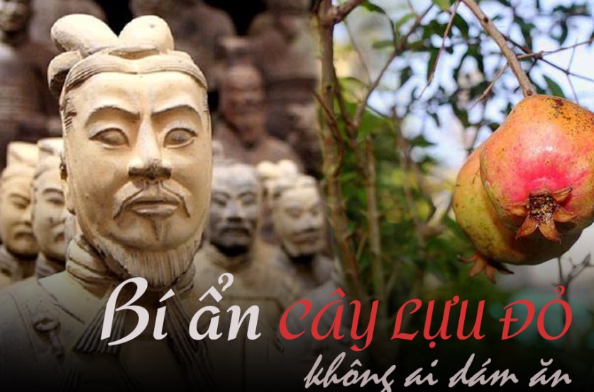 Gi&#x1EEF;a l&#x103;ng m&#x1ED9; T&#x1EA7;n Th&#x1EE7;y Ho&#xE0;ng ch&#x1EC9; c&#xF3; duy nh&#x1EA5;t 1 lo&#xE0;i c&#xE2;y t&#x1B0;&#x1A1;i xanh, sai tr&#x129;u qu&#x1EA3; nh&#x1B0;ng tuy&#x1EC7;t nhi&#xEA;n kh&#xF4;ng ai d&#xE1;m &#x103;n: B&#xED; m&#x1EAD;t &#x111;&#x1EB1;ng sau &#x111;&#x1EBF;n c&#x1EA3; chuy&#xEA;n gia c&#x169;ng gi&#x1EAD;t m&#xEC;nh