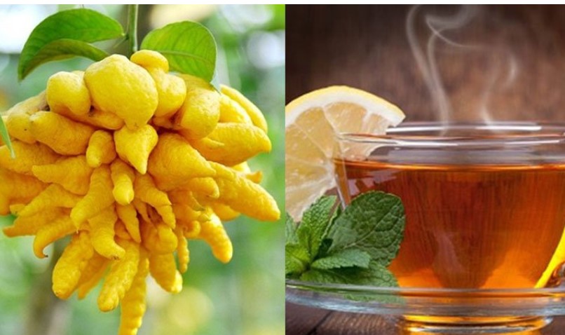 Đừng hiểu lầm quả phật thủ chỉ để trang trí: Vô vàn lợi ích với sức khỏe mà bạn chưa biết