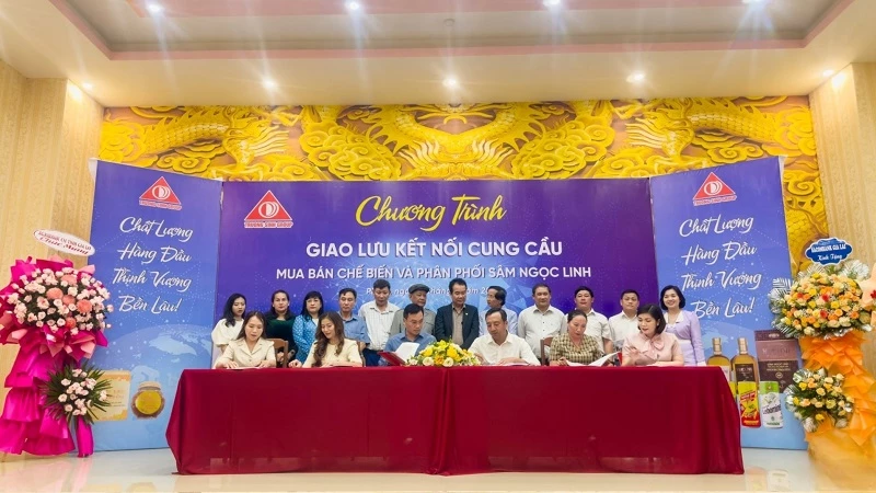 Trường Sinh Group ký kết hợp tác với 6 doanh nghiệp, chủ vườn sâm Ngọc Linh của tỉnh Kon Tum và Quảng Nam