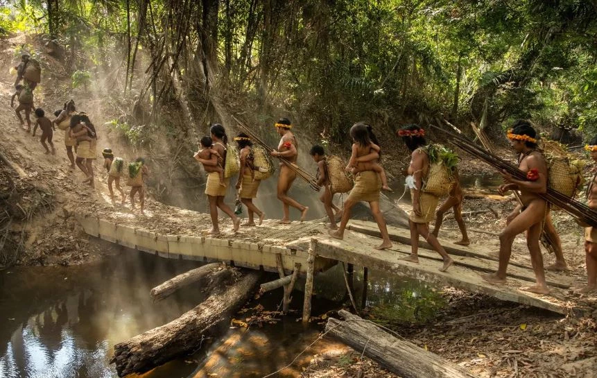 Bộ tộc Awá được phát hiện lần đầu vào giữa những năm 1970, tại khu vực Amazon của Brasil. 