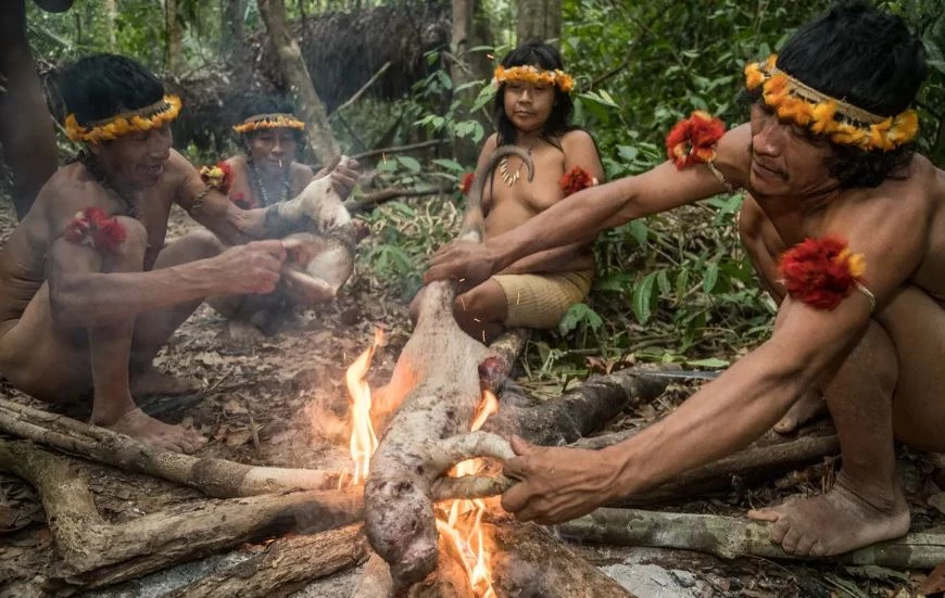Tính đến cuối năm 2022, bộ tộc này chỉ có khoảng hơn 600 người nhưng có tới hơn 100 người đang ẩn náu trong các khu rừng và chưa thể liên lạc được.