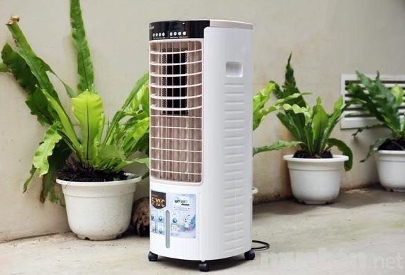 Những thứ nên đặt trong phòng khi bật điều hòa, chẳng những tiết kiệm điện mà còn tốt cho sức khỏe