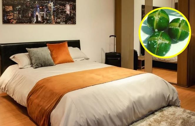 Đặt thứ này cạnh giường, đêm ngủ ngon giấc, tài lộc ào ào đến nhà