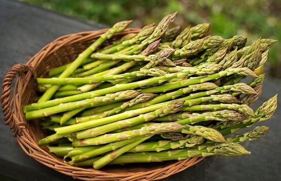 Những loại rau ‘khắc tinh’ của ung thư có thể trồng ở ban công, vừa sạch lại bổ dưỡng