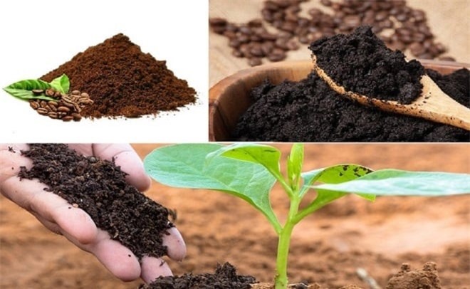 Bã cà phê tưởng chừng như bỏ đi nhưng lại rất có ích cho cuộc sống hàng ngày của chúng ta.