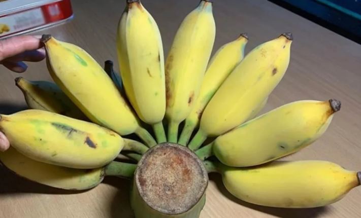 Vì sao nhiều người kiêng bày chuối trên bàn thờ trong tháng cô hồn, không phải ai cũng biết