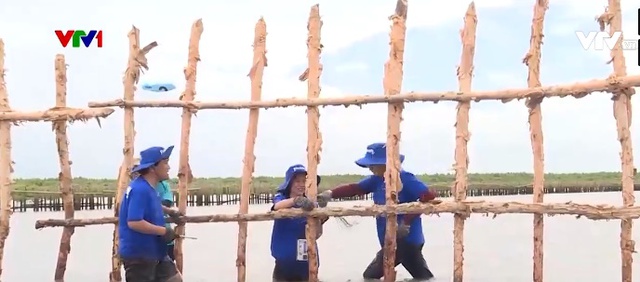 Doanh nghiệp nỗ lực giảm dấu chân carbon trong hoạt động sản xuất