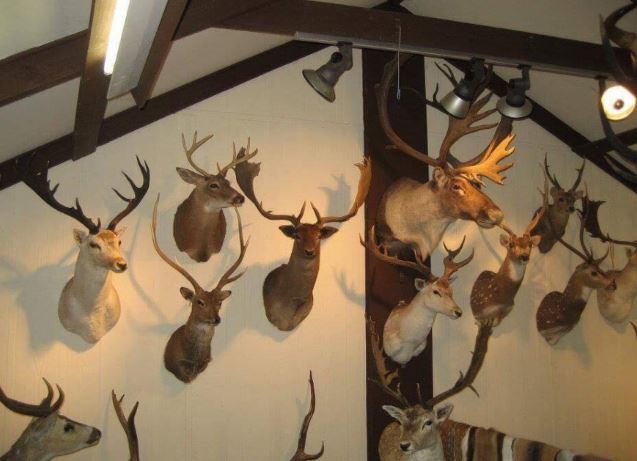 Các cụ dặn kỹ: ‘Trong nhà có tam đại sát, vận khí suy giảm, tài lộc sa sút’, đó là thứ gì?