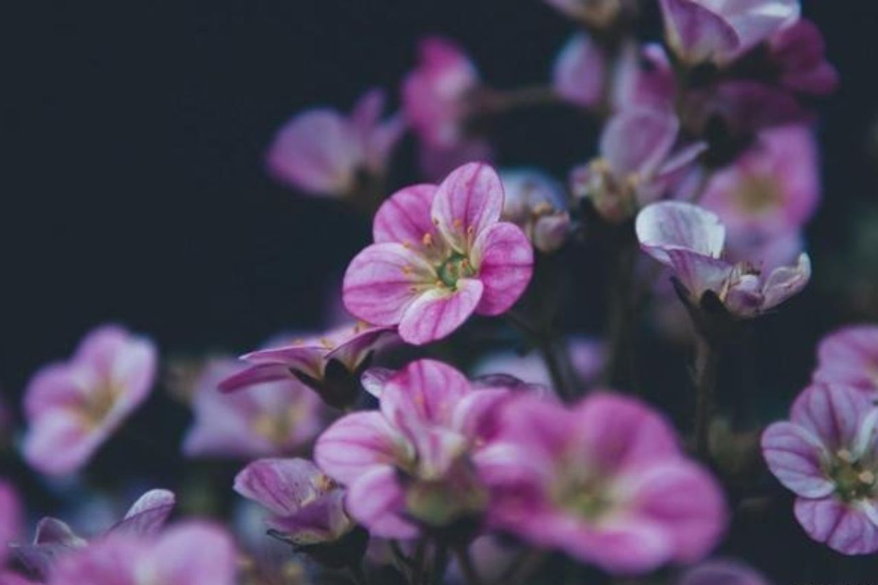 
Đầu tháng 9: Top 4 tuổi này được Thần May Mắn ưu ái, đón lộc lá như nấm sau mưa