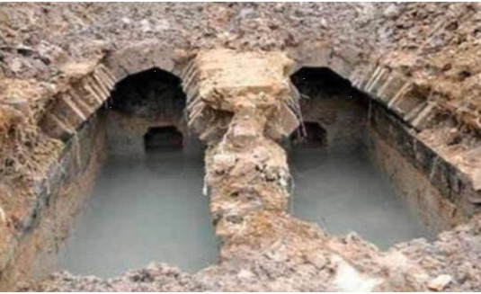 Khai quật mộ cổ 2.000 năm, giật mình thấy sinh vật sống bên trong bò ra