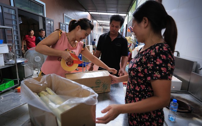 Xuất khẩu hơn 17 tấn mía tươi sang Mỹ