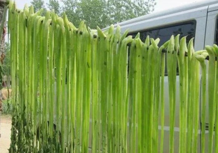 Việt Nam có 4 loại rau giá đắt hơn cả thịt cá, muốn ăn cũng chưa chắc đã có để mua