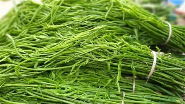 Việt Nam có 4 loại rau giá đắt hơn cả thịt cá, muốn ăn cũng chưa chắc đã có để mua  - Ảnh 10.