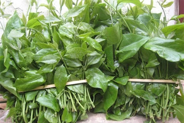 Việt Nam có 4 loại rau giá đắt hơn cả thịt cá, muốn ăn cũng chưa chắc đã có để mua  - Ảnh 9.