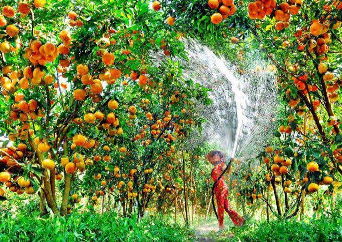 Những điểm du lịch không nên bỏ lỡ khi ghé thăm Đồng Tháp