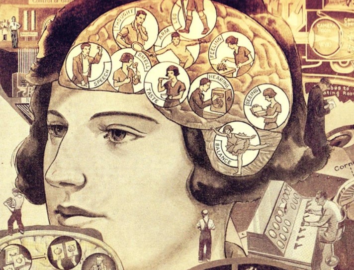 Khám phá bí mật về bài kiểm tra chỉ số IQ ở con người