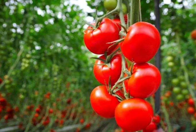 6 thực phẩm chống oxy hóa tốt nhất dành cho bệnh nhân tiểu đường