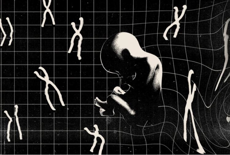 Tại sao con người chỉ có 23 cặp nhiễm sắc thể?