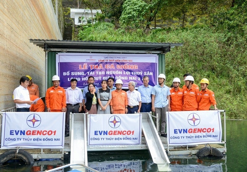 Thả cá giống tái tạo nguồn lợi thủy sản hồ thủy điện Đồng Nai 3, Đồng Nai 4