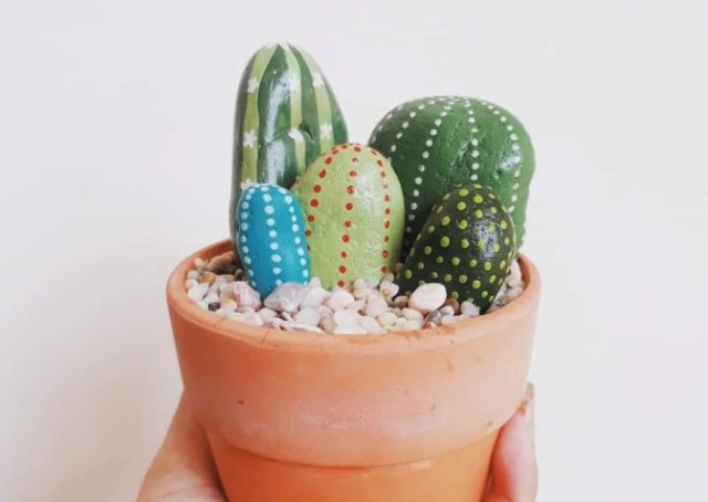 Tự trồng xương rồng bất tử, nắng gắt vẫn vô tư khoe sắc