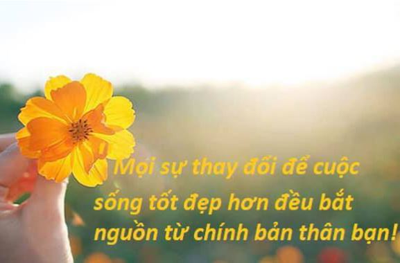 Các giai đoạn của cuộc đời rút ra bài học gì?