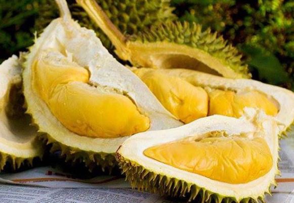 Top 8 loại đặc sản trái cây miền Nam nổi tiếng nhất